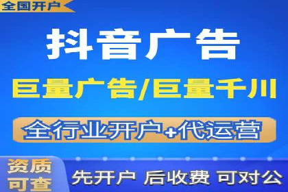 专业SEM服务公司案例分析报告